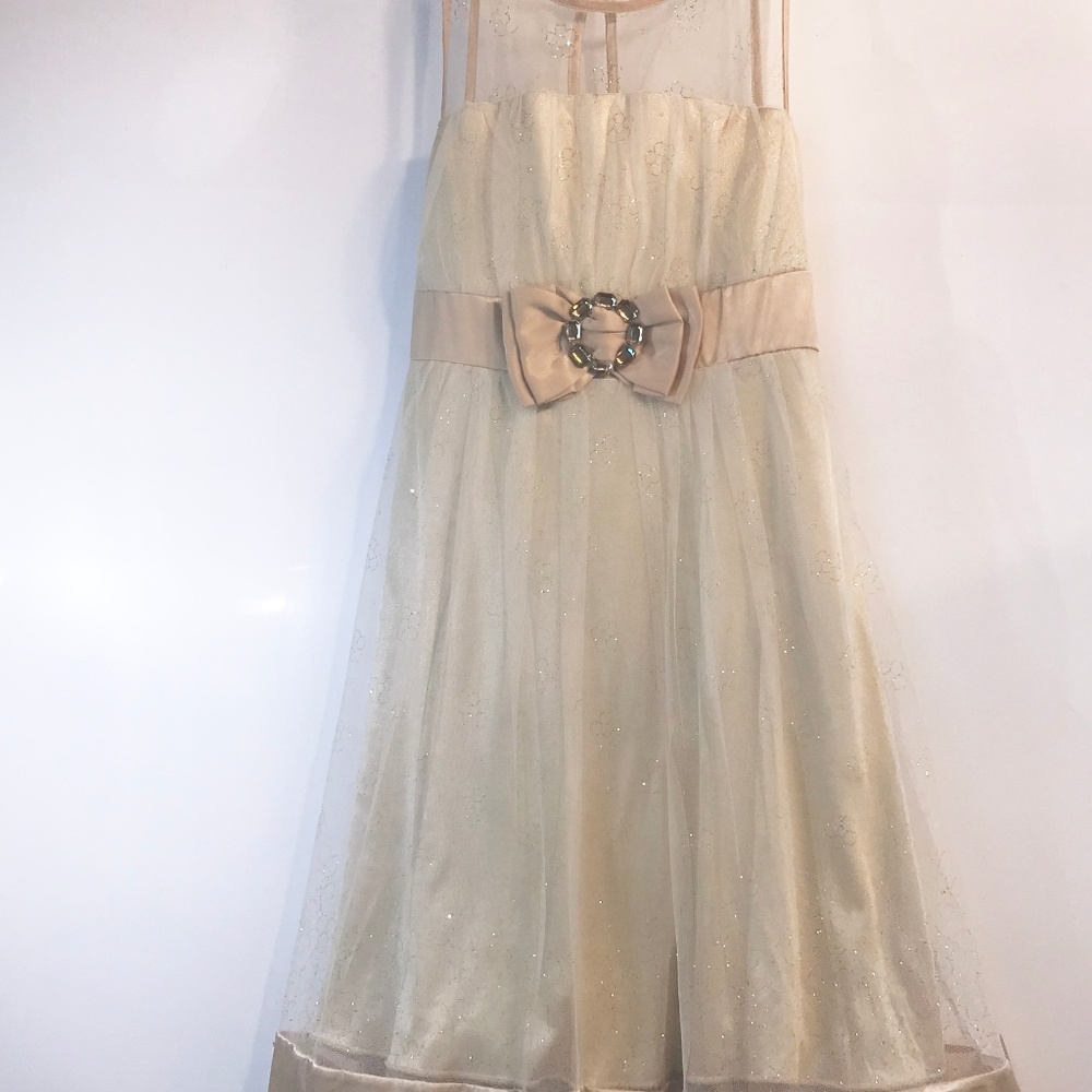 Bronze Sheer Top Dress